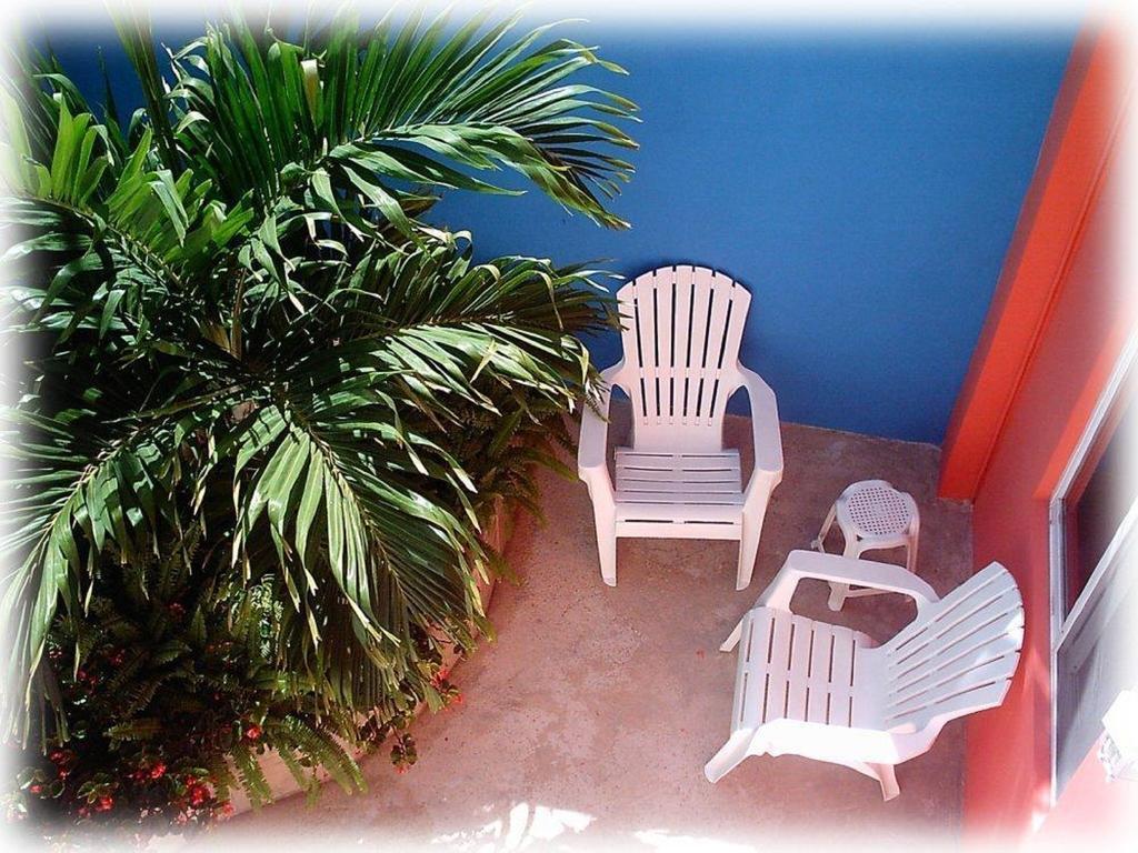 Coral Reef Inn Cozumel Eksteriør billede
